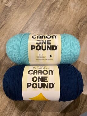 Caron One Pound Yarn - Aqua and Navy